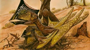 Forscher finden neue Pterosaurier-Art 