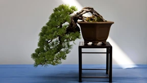 Der Stil macht die Welt