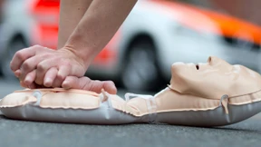 „Etwa zwanzig Prozent überleben“