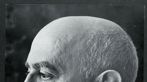 Die versprengte Farbe im Grau