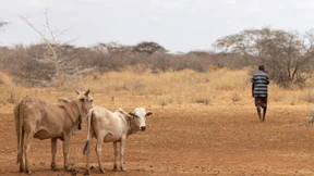 Hilfe für Menschen in Kenia und im Bahnhofsviertel