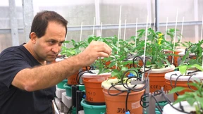 Auf der Suche nach der perfekten Pflanze