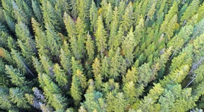 „Es gibt eine Zeit nach diesem Krieg“