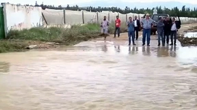 Heftige Regenfälle verwüsten Tunesien