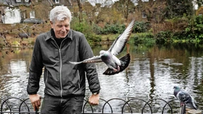 Tiere, Tod und der Mann in Schwarz