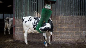 Mehr als nur Milch
