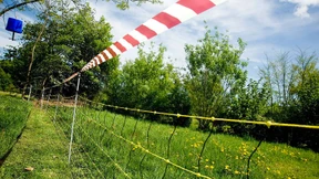 Die Angst vorm bösen Wolf