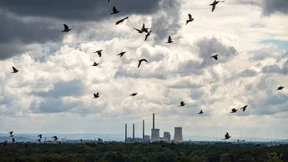 2,7 Grad bis Ende des Jahrhunderts