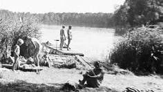 Viele nackte Tatsachen