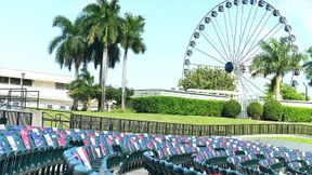 Die Freiheit, die sie meinten