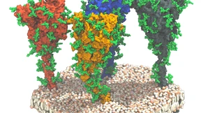 Ein Plagegeist mit Hüftgelenk