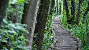 Wer war der Mann mit der Maske?