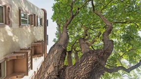 Wie eine Klimaanlage für die Stadt