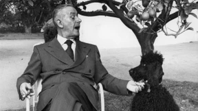 Warum wir mehr Ironie brauchen