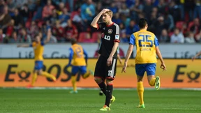 Braunschweiger Eichhörnchen