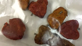 Vermutlich Giftköder ausgelegt