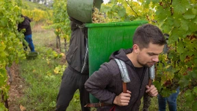 „Der Klimawandel hat auch Vorteile“