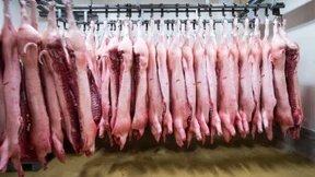 China leitet Untersuchung zu EU-Schweinefleisch ein