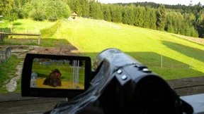 Lieber im Wald als vom Eis