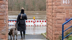 Sanierung des Offenbacher Maindeichs verteuert sich
