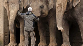 Tausend Tierarten und zwei Aktiengattungen