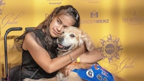 Stars auf vier Pfoten