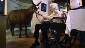 Was werden Sie im Angesicht des Todes tun?