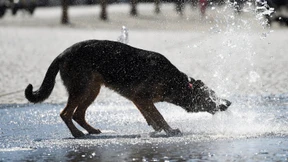 In der Hitze der Stadt