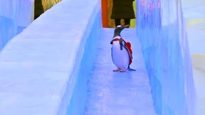 Wo diese Rutsche wohl hinführt?