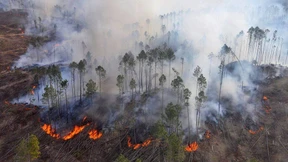 BaFin-Chefin verspricht stabilen Garantiezins