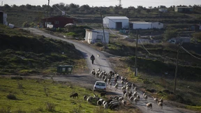 Israel legalisiert Siedlung