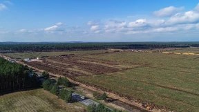 Tesla darf Gelände in Grünheide planieren