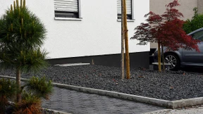 So grausam sind Kiesgärten für die Artenvielfalt