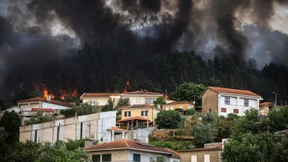 Wälder in Portugal zum Sperrgebiet erklärt