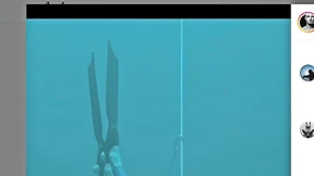 Neues von den Prominenten