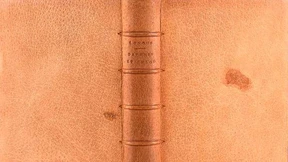 Mit schaurigem Einband