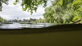 Auch nach Jahrzehnten werden noch Täter überführt