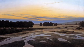 Die Natur als letzter Zeuge