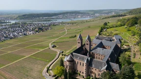 Was sollen Winzer pflanzen?