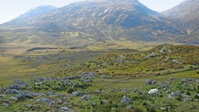 Bergtour mit Gedächtnistraining