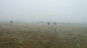 In Tibet jenseits von Tibet