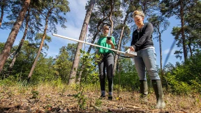 Der Wald der Zukunft