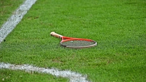 Bälle, Flummis rosa Schweine