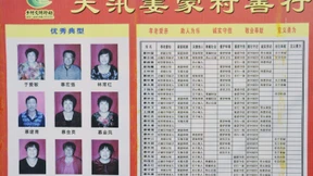 Der kybernetische Bürger