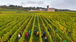 Mehr Flächen für den Ökoweinbau