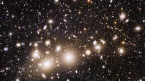 Phantastisch scharf und tief