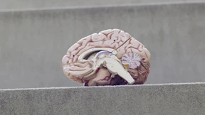 Flucht vor der Scheinmoral