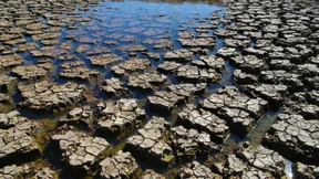 Sterbendes Vieh, schwindende Oasen, mangelnde Verdunstung