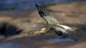 Der Blick zu den Sternen weist den Weg