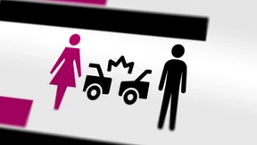 Das teure Geschlecht